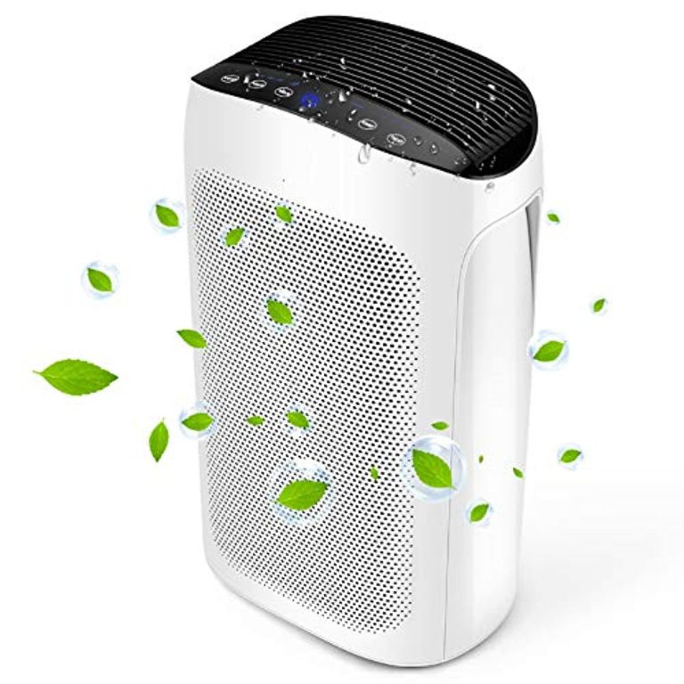 healthy home air purifier