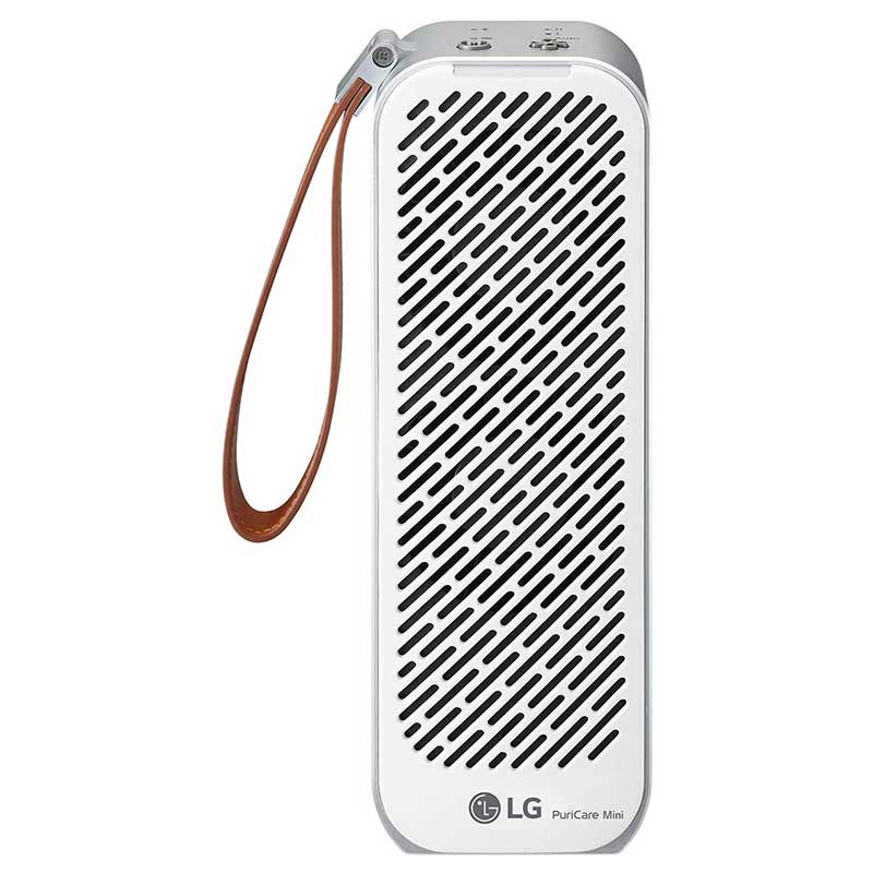 lg puricare mini review