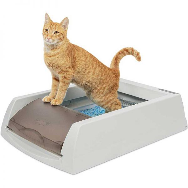 PetSafe ScoopFree Automatic SelfCleaning Cat Litter Box Includes